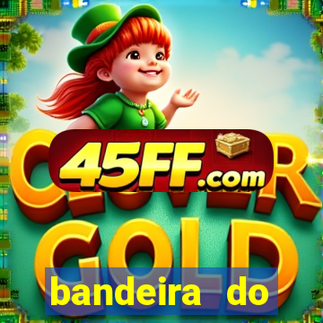 bandeira do flamengo para copiar